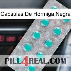 Cápsulas De Hormiga Negra 28